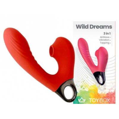 Wild Dreams 3 in 1 Toy